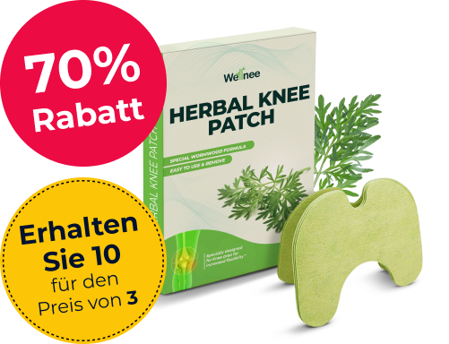 Wellnee Kniepflaster Herbal Knee Patch gegen Knieschmerzen – Produktabbildung